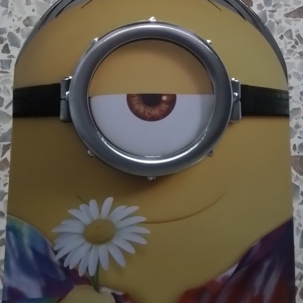 Minions DVD & Blu-ray Collector Tin